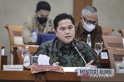 Erick Thohir berharap peran Garuda stabilkan harga tiket pesawat