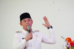 Kapuas Hulu kembangkan tanaman karet alam berkelanjutan