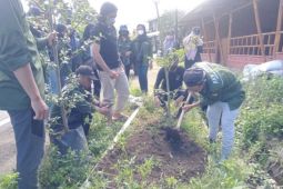 Mahasiswa KKN Unram tanam pohon di sepanjang Jalan Raya Desa Sembalun
