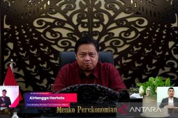 Menko Perekonomian: Presidensi G20 Indonesia dorong pemulihan inklusif