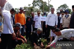 Rejang Lebong tanam 10.000 batang kopi arabika