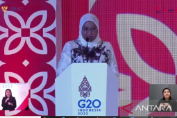 Indonesia dorong partisipasi disabilitas di dunia kerja di G20