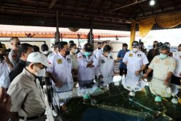 Pemerintah siapkan pembangunan infrastruktur dasar di IKN