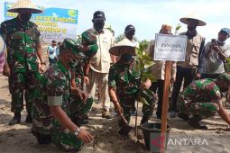 Peduli lingkungan, Pangdam Iskandar Muda tanam mangrove di Pulau Semadu
