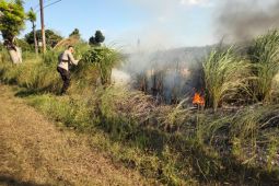BPBD Kubu Raya deteksi lokasi karhutla