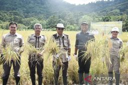 Inilah 10 proyek strategis daerah Kabupaten Ketapang