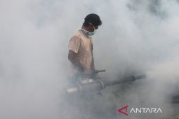 Demam berdarah yang terlupakan