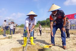 PT Timah berpartisipasi gerakan menanam pohon di lahan bekas tambang