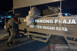 Pemkab Nagan Raya Aceh terapkan denda bagi pemilik ternak, ini besarannya