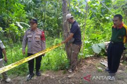 7 titik galian C di Bungbulang Garut ditutup karena ilegal
