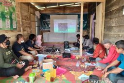 Agroforestri  solusi keterlanjuran sawit di areal Perhutanan Sosial