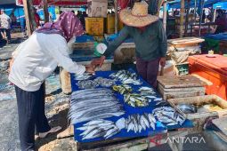 Harga ikan di Aceh Timur turun