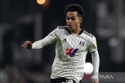 Setelah Luis Diaz, Liverpool bidik talenta muda Fulham Fabio  Carvalho