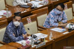 Mendag laporkan upaya stabilkan harga minyak goreng ke DPR