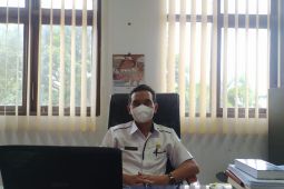 Disnak: Babi peliharaan di Bengkulu Utara positif ASF