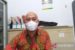 BKSDA Bengkulu: Harimau muncul di Mukomuko akibat habitatnya terganggu