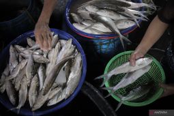 Ikan Bandeng Imlek