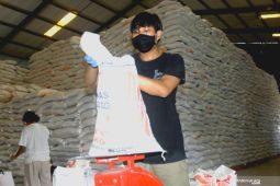 Stok beras Bulog Maluku dan Malut aman tiga bulan ke depan