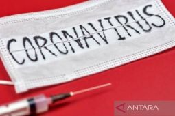 Positif COVID-19 varian Omicron di Indonesia 2.980 kasus, sebut Kemenkes