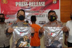 Polres MBD berhasil tangkap pelaku pemerkosaan, tegakkan hukum