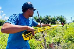 Seorang teungku di Aceh Barat kecewa, pamplet dan garis polisi di kebunnya dirusak OTK
