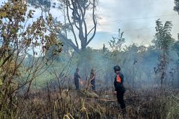 Kawasan hutan lindung Saree di lalap si jago merah