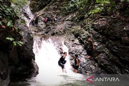 Pesona belantara Meratus di Rampah Lingkaran Sawa