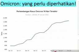 Perhimpunan Dokter Paru: lonjakan Omicron sebagai fenomena "super spreader"