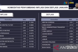 Kenaikan harga mobil dan rokok sumbang inflasi Januari di Jember