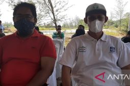 Pemkab Bangka ditargetkan produksi sawit rakyat capai 45 ribu ton