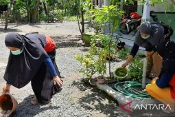 Dinkes Probolinggo catat 21 kasus DBD, dua orang meninggal