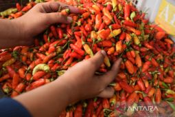 BPS: Kota Pangkalpinang inflasi 1,22 persen pada Januari