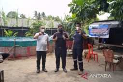 Pokdakan Pemuda Mandiri budidayakan udang vaname dengan bioflok