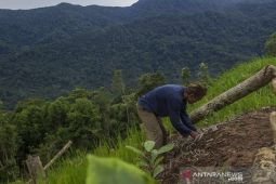 Menikmati senja dengan secangkir kopi Meratus di Kota Apam