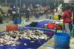 Pasar Ikan Balekambang jadi destinasi wisata baru Solo