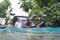 PT Timah gerakkan ekonomi masyarakat lewat komunitas