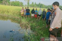 Kematian Imelda diduga dibunuh, Polisi sebut terdapat memar di alat kelamin korban