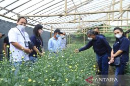 BRI bantu petani bunga di Tomohon