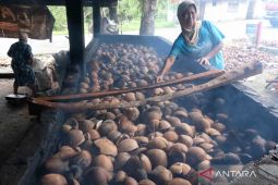 BRIN gunakan ragi tempe untuk membuat minyak goreng berbahan kelapa