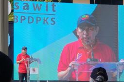 Zaid Burhan Ibrahim: Betapa pentingnya sawit dalam kehidupan manusia
