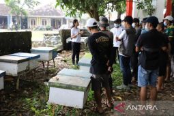 Mahasiswa PPM berdayakan warga Geopark Ciletuh melalui budidaya lebah madu
