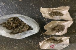 Jualan buah-buahan kurang laku, Rosmaya terpaksa jual ganja hingga diringkus polisi