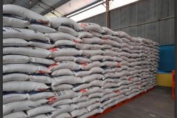 Bulog Tanah Grogot jamin stok logistik pangan aman hingga Ramadhan 1443 H