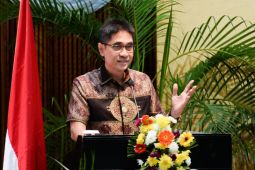 Sawit bukan tanaman hutan