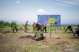 Pemkab Jember ubah agrowisata buah naga menjadi kelengkeng "Jemsu"