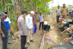 Seorang nenek tewas dililit ular piton saat hendak membuang air