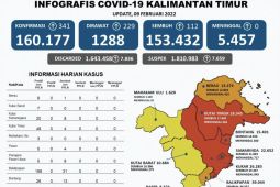 Kabupaten Mahakam Ulu gagal bertahan di zona hijau COVID-19