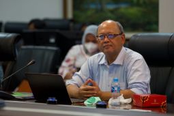 KSP mendorong Kemendag pangkas waktu tunggu pengisian stok minyak goreng