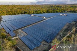 PLN akan operasikan 648 megawatt pembangkit  energi bersih