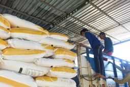PTPN X targetkan  salurkan 15.693 ton pupuk program makmur
